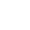 AdLelo Online Security
